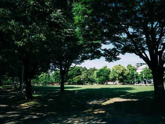 大垣公園は大垣市民の憩いの場