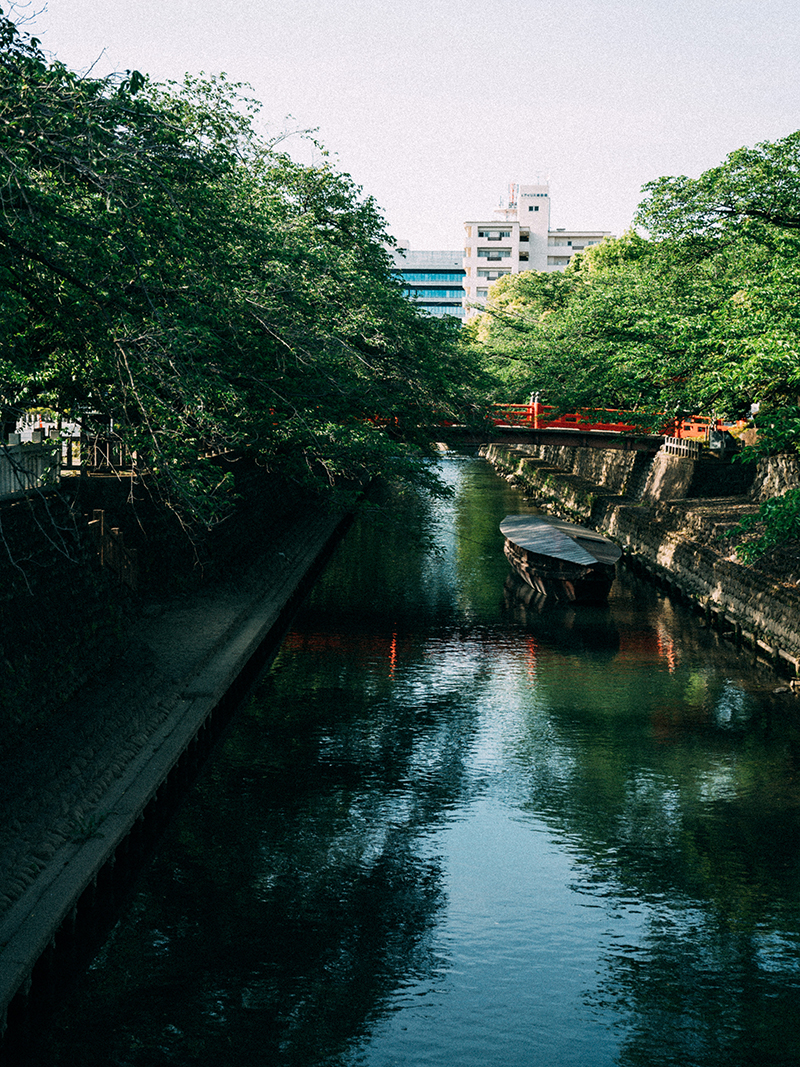 春や秋には、舟下りやたらい舟ができる